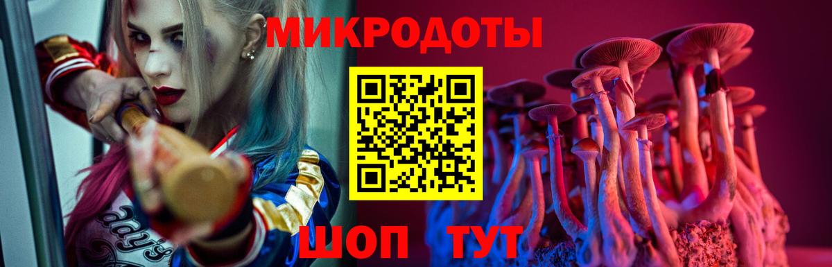Галлюциногенные грибы Cubensis Канск